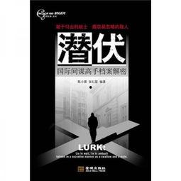 资料高手,从资料中汲取智慧与力量的秘诀